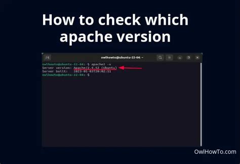 How to Check if Apache is Running on Linux: A Journey Through the Digital Forest